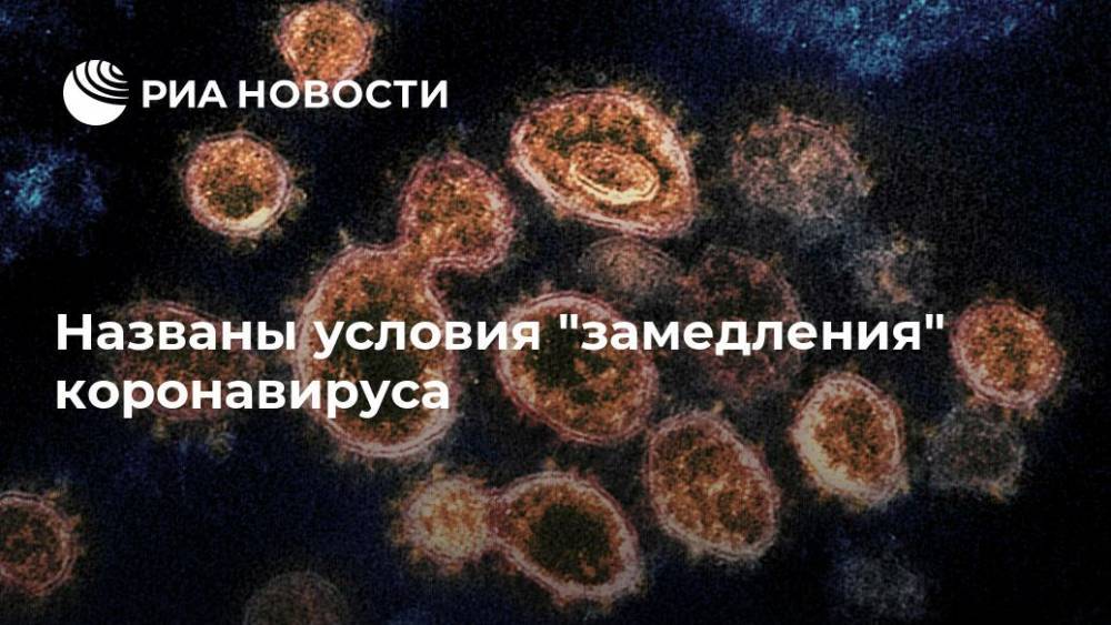Названы условия "замедления" коронавируса - ria.ru - Москва - Сша