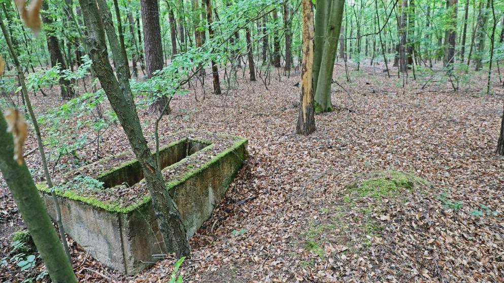 Для 56 000 усопших: в Германии появится кладбище для жертв пандемии - germania.one - Сша - Германия