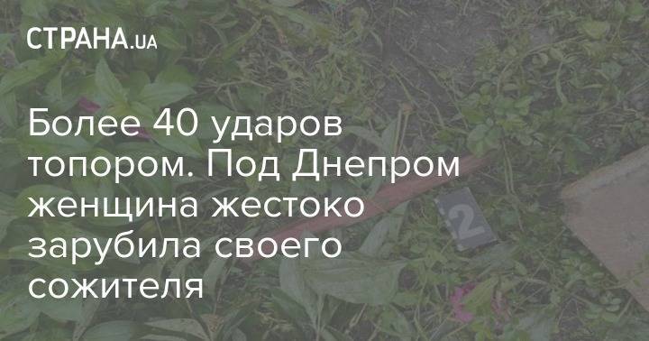 Более 40 ударов топором. Под Днепром женщина жестоко зарубила своего сожителя - strana.ua - район Петриковский