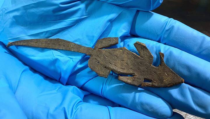 Игрушка или розыгрыш? В Виндоланде нашли древнеримскую кожаную "мышь" - vesti.ru - Англия