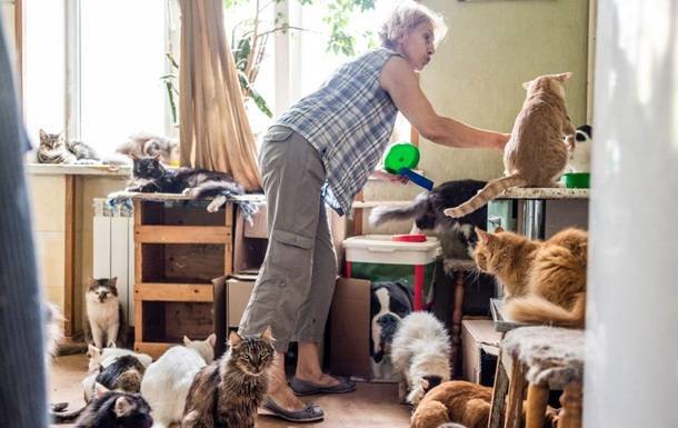 Киевлянка 10 лет держит в квартире приют для животных - korrespondent.net - Киев