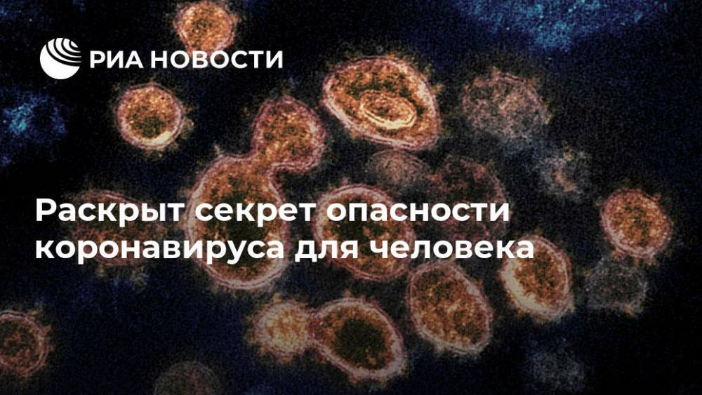 Раскрыт секрет опасности коронавируса для человека - ria.ru - Москва