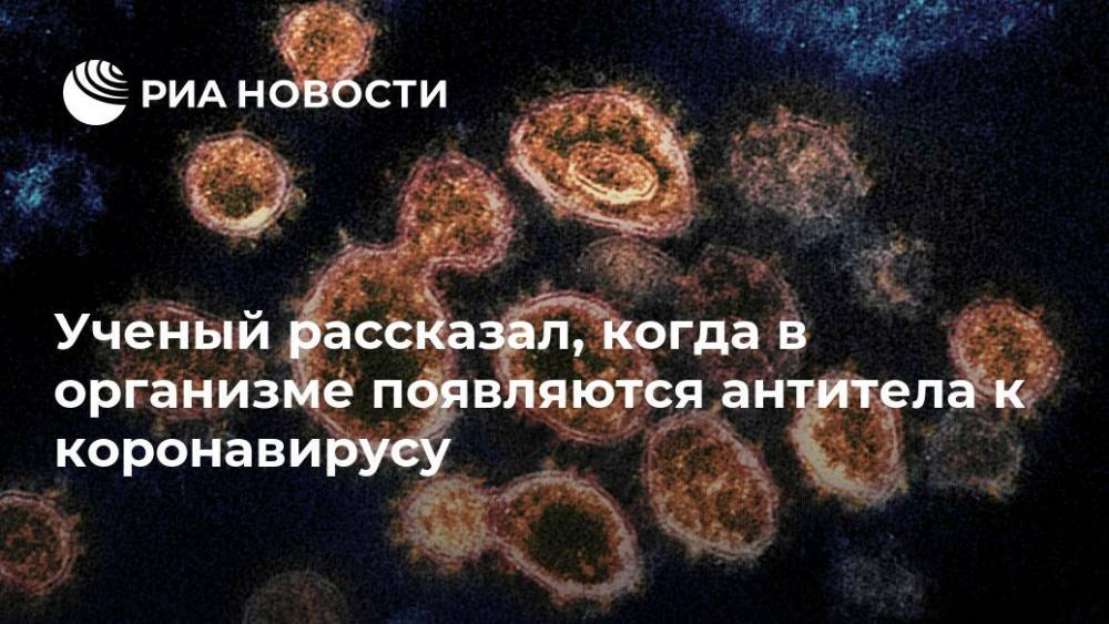 Александр Ботвинкин - Ученый рассказал, когда в организме появляются антитела к коронавирусу - ria.ru - Москва - Иркутск