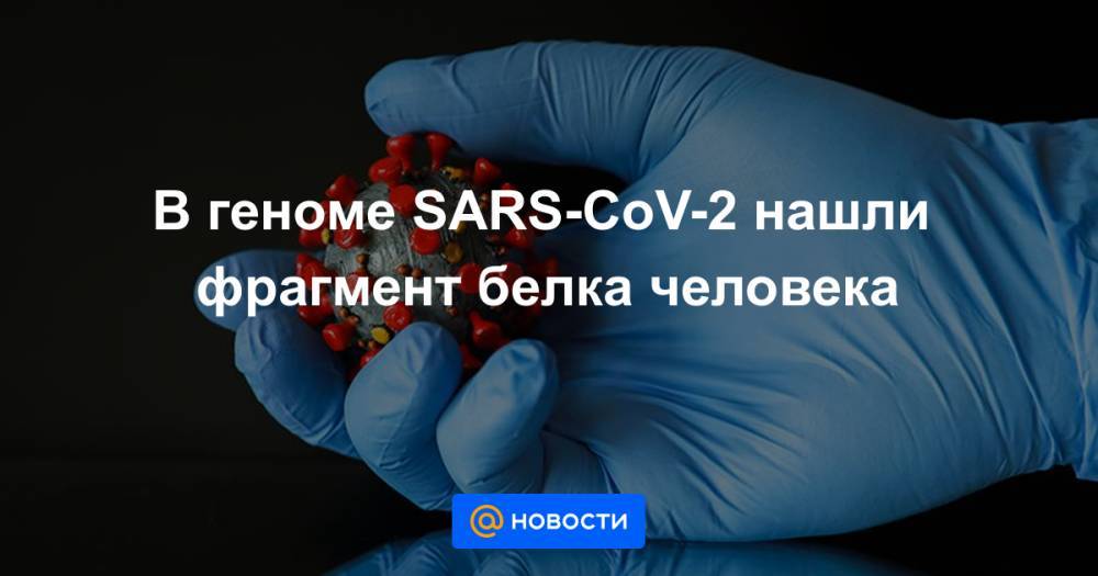 Константин Крутовский - В геноме SARS-CoV-2 нашли фрагмент белка человека - news.mail.ru - Германия