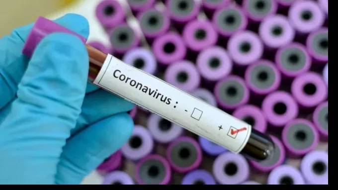 Маргарет Харрис - ВОЗ призвала не праздновать победу над коронавирусом раньше времени - piter.tv - Женева