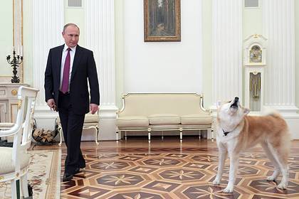 Владимир Путин - Путин настоял на закреплении в Конституции ответственного отношения к животным - lenta.ru - Россия