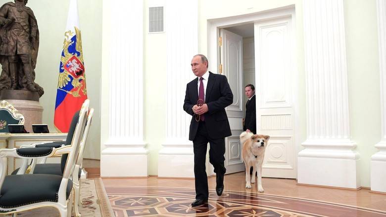 Президент России поддерживает поправки о защите животных - nashgorod.ru - Россия