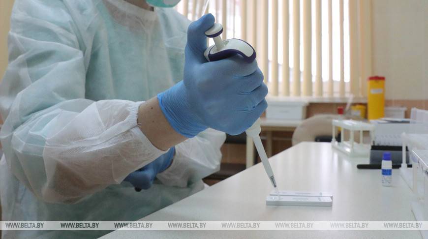 Число заразившихся коронавирусом в мире превысило 7 млн - belta.by - Минск