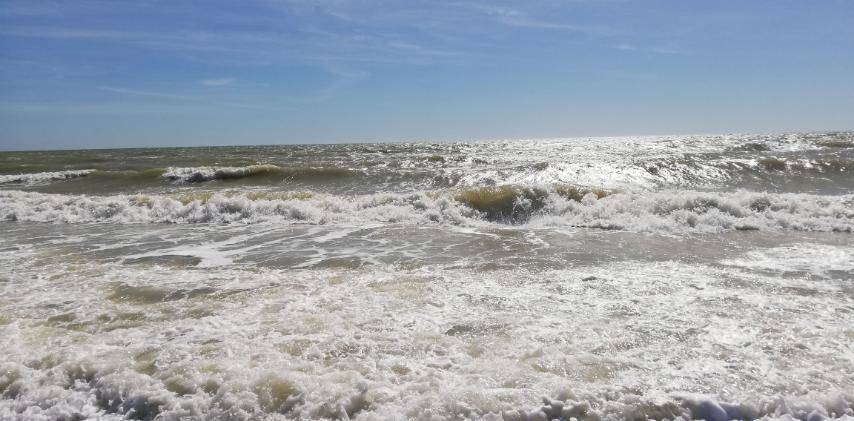 В Кирилловке на побережье Азовского моря штормовая погода, – видео - inform.zp.ua - Украина