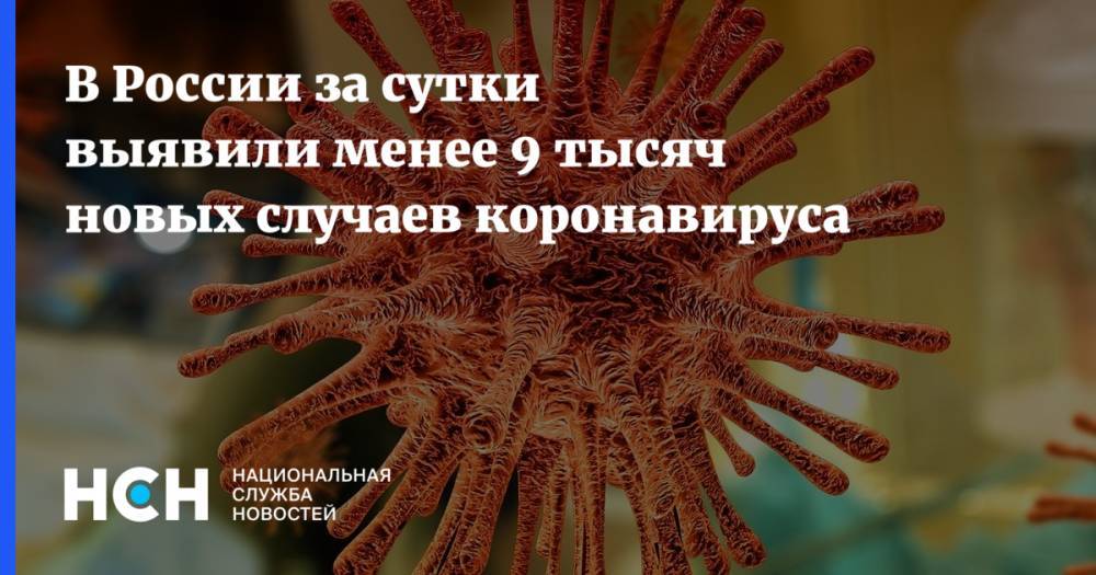 В России за сутки выявили менее 9 тысяч новых случаев коронавируса - nsn.fm - Россия
