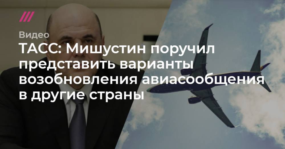 ТАСС: Мишустин поручил представить варианты возобновления авиасообщения в другие страны - tvrain.ru - Россия
