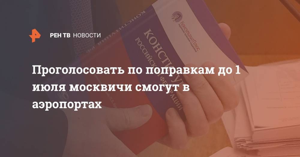 Проголосовать по поправкам до 1 июля москвичи смогут в аэропортах - ren.tv - Москва