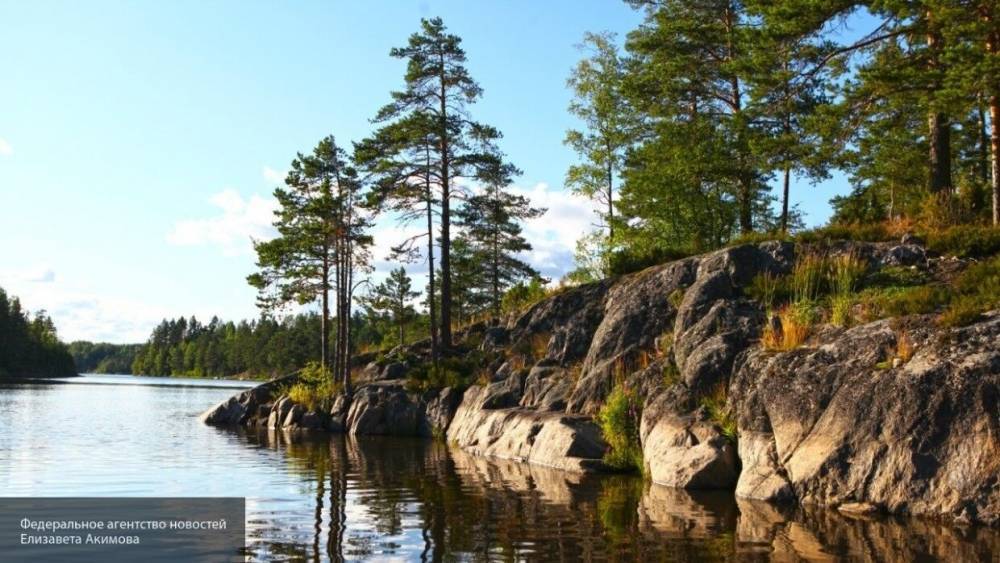 Названы три самых популярных озера в Ленобласти - nation-news.ru - Санкт-Петербург - Ленобласть обл.