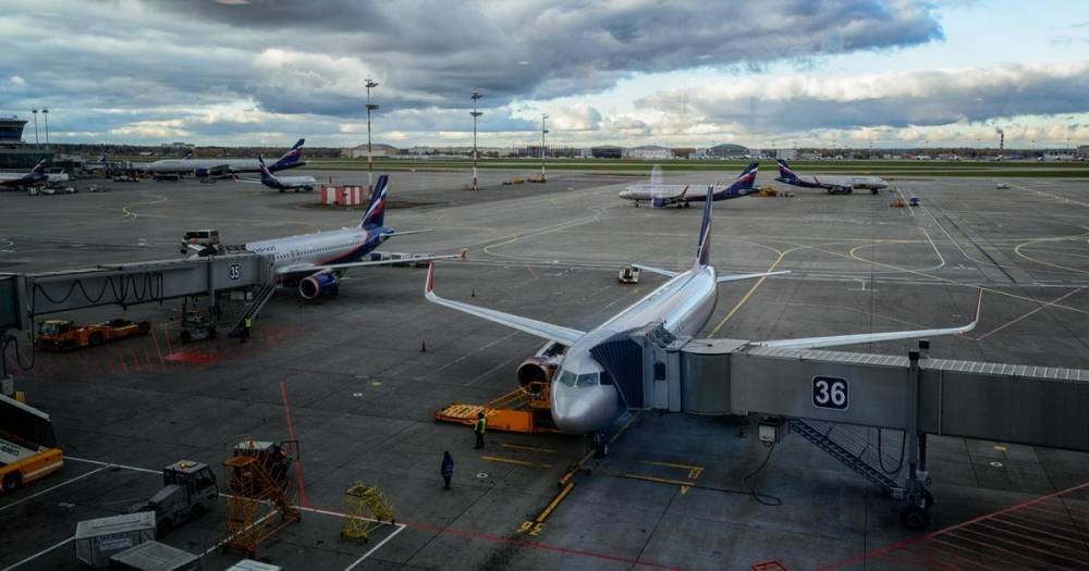 В Минтрансе высказались о сроках возобновления авиаперевозок за рубеж - ren.tv - Россия