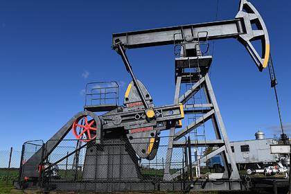 Названа цена нефти в 2020 году - lenta.ru