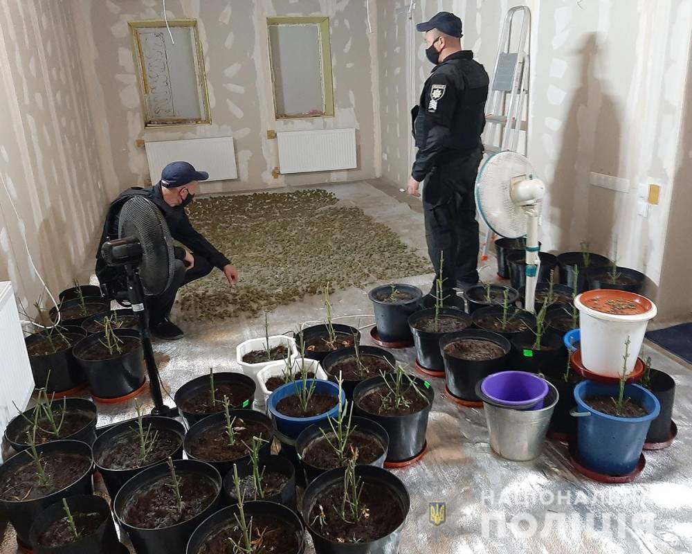 В Запорожской области арестовали мужчину, который хранил 2 кг каннабиса - inform.zp.ua - Украина - Запорожская обл.
