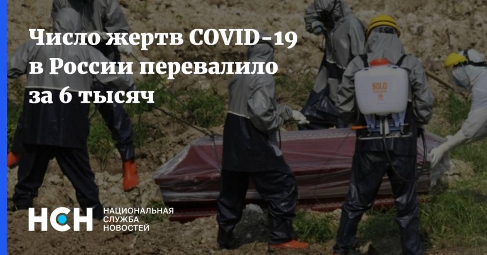Число жертв COVID-19 в России перевалило за 6 тысяч - nsn.fm - Россия