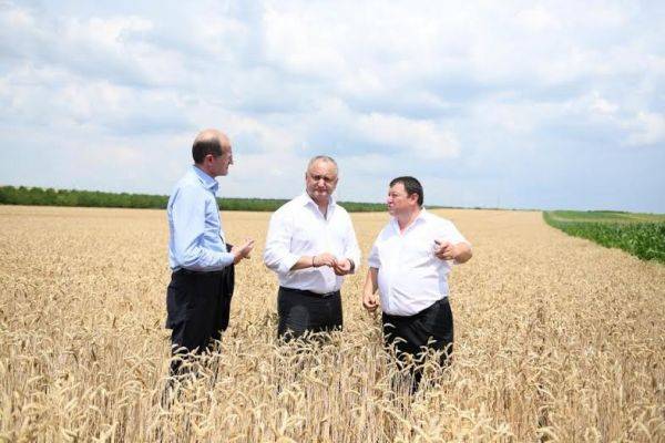 Продовольственная безопасность Молдавии обеспечена, заявил президент - eadaily.com - Молдавия - Приднестровье