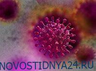 Терапия на основе антител может защитить от коронавируса, заявляет фармгигант - novostidnya24.ru