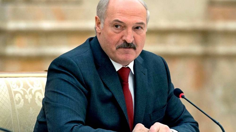 Лукашенко призвал силовиков не повторить украинский майдан накануне выборов - newizv.ru