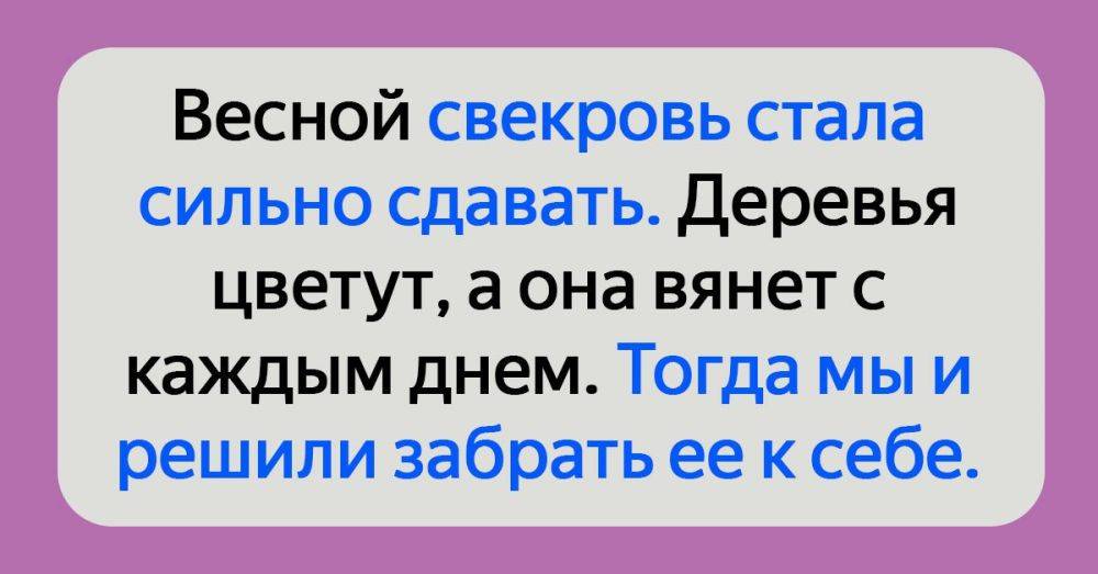 Заботливая свекровь рассказ на дзен