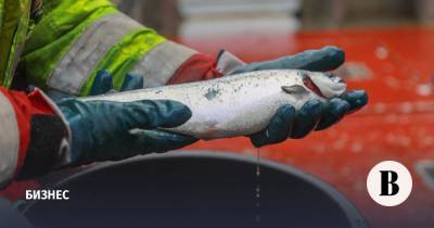 Китай начал ограничивать импорт российской рыбы из-за коронавируса - vedomosti.ru - Россия - Китай