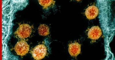 Фрэнсис Крик - Ученые обнаружили крайне опасную мутацию коронавируса - profile.ru - Англия