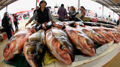 Китай начал ограничивать импорт российской рыбы из-за следов COVID-19 - gazeta.ru - Россия - Китай