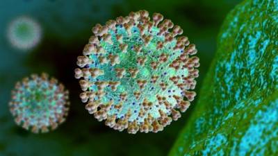Британские ученые выявили еще три симптома коронавируса - 5-tv.ru - Сша - Англия