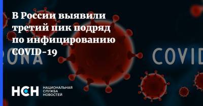 В России выявили третий пик подряд по инфицированию COVID-19 - nsn.fm - Россия
