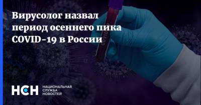 Вирусолог назвал период осеннего пика COVID-19 в России - nsn.fm - Россия