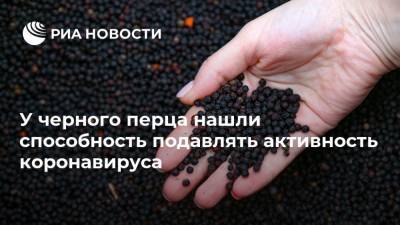 У черного перца нашли способность подавлять активность коронавируса - ria.ru - Россия - Москва - Индия
