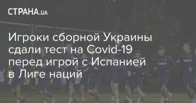 Игроки сборной Украины сдали тест на Covid-19 перед игрой с Испанией в Лиге наций - strana.ua - Украина - Германия - Испания