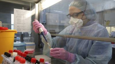 В Петербурге зарегистрировали тест-систему на антитела к COVID-19 - dp.ru - Санкт-Петербург