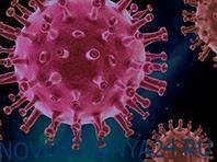 Повторное инфицирование коронавирусом возможно, предупреждают врачи - novostidnya24.ru - Сша - штат Невада