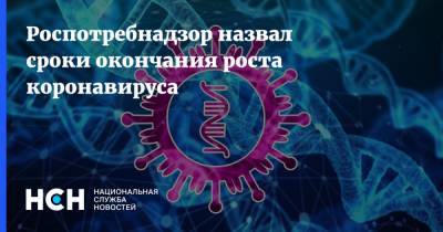 Александр Горелов - Роспотребнадзор назвал сроки окончания роста коронавируса - nsn.fm - Россия