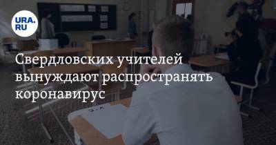 Свердловских учителей вынуждают распространять коронавирус. Подробности - ura.news