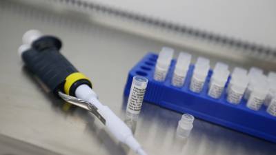 В России за сутки выявили более 14 тысяч случаев коронавируса - russian.rt.com - Россия