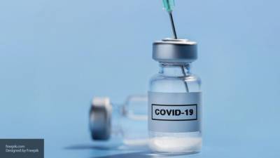 Владимир Путин - Путин рассказал о регистрации второй вакцины от COVID-19 в России - nation-news.ru - Россия