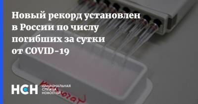 Новый рекорд установлен в России по числу погибших за сутки от COVID-19 - nsn.fm - Россия
