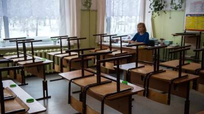 В 115 школах России введён карантин из-за коронавируса - russian.rt.com - Россия - Москва