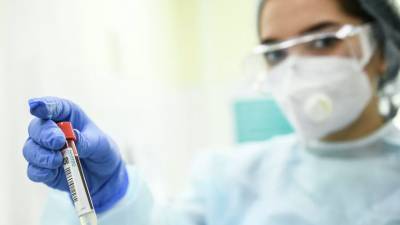 В России за сутки проведено более 500 тысяч тестов на коронавирус - russian.rt.com - Россия - Санкт-Петербург
