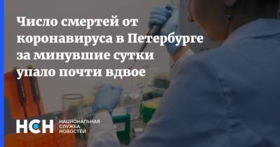 Число смертей от коронавируса в Петербурге за минувшие сутки упало почти вдвое - nsn.fm - Санкт-Петербург - Москва