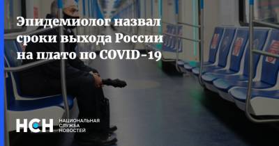 Александр Шестопалов - Эпидемиолог назвал сроки выхода России на плато по COVID-19 - nsn.fm - Россия - Новосибирск