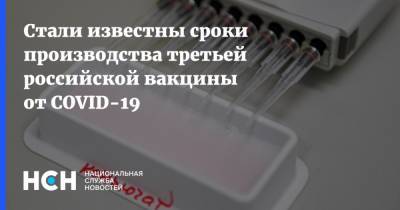 Денис Мантуров - Стали известны сроки производства третьей российской вакцины от COVID-19 - nsn.fm - Россия - Геленджик