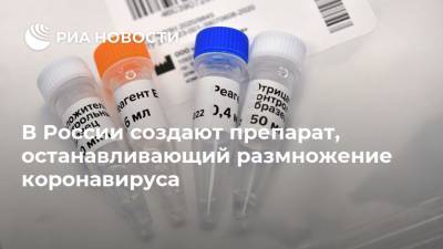 Рахим Хаитов - В России создают препарат, останавливающий размножение коронавируса - ria.ru - Россия - Москва
