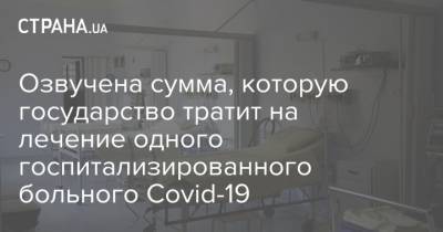 Озвучена сумма, которую государство тратит на лечение одного госпитализированного больного Covid-19 - strana.ua - Украина - Киев