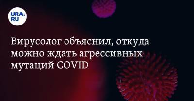 Алексей Аграновский - Вирусолог объяснил, откуда можно ждать агрессивных мутаций COVID - ura.news