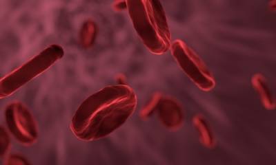 Иммунолог опроверг связь между группами крови и уязвимостью перед COVID-19 - inforeactor.ru - Канада