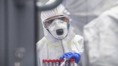 В России проведено более 53,8 млн тестов на коронавирус - gazeta.ru - Россия